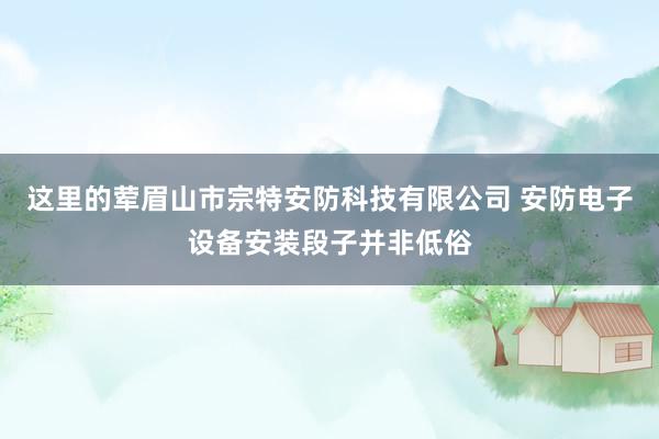 这里的荤眉山市宗特安防科技有限公司 安防电子设备安装段子并非低俗